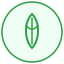 日常减重